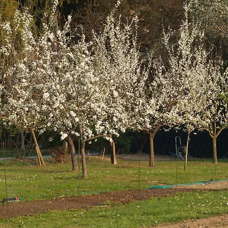 فندق مبيت وإفطار Ca' Marsure 3*