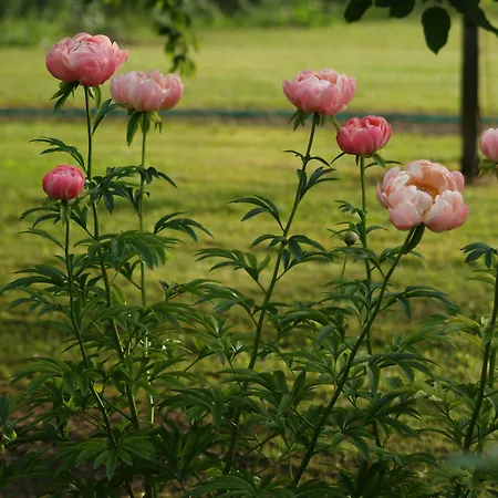 Ca' Marsure Bed & Breakfast