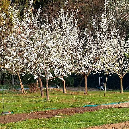 Ca' Marsure 3* Azzano Decimo