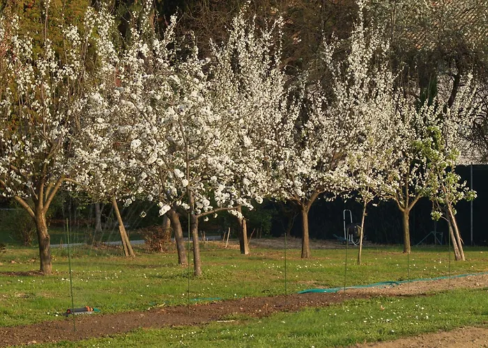 Alojamento de Acomodação e Pequeno-almoço Ca' Marsure 3*