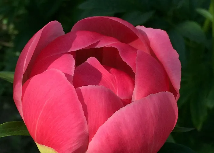 Ca' Marsure Azzano Decimo